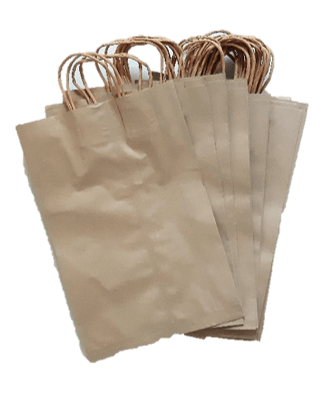 29. Kraft paper bags –Twisted handle -  No bottom base  10 x 16