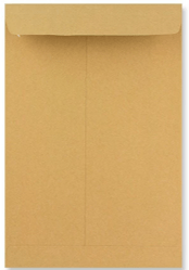 33. Plain paper envelope 254 mm x 381 mm - A4 +