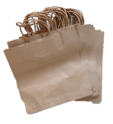 29. Kraft paper bags –Twisted handle -  No bottom base  8 x 10