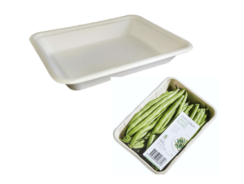 Bagasse Rectangular tray